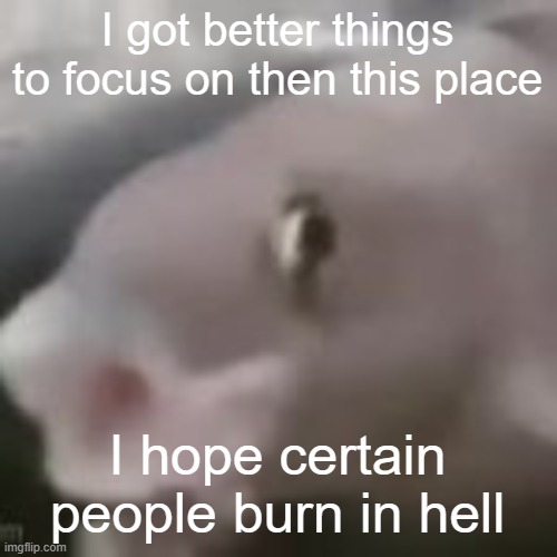 I ain't deleting, I'm just going inactive for a while | I got better things to focus on then this place; I hope certain people burn in hell | image tagged in fih | made w/ Imgflip meme maker