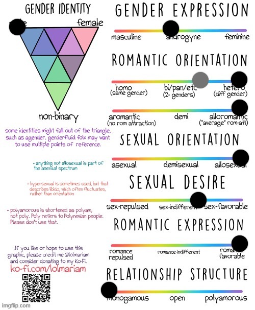 the grey basically means that i like men too but i wouldn't date one | image tagged in gender and sexuality spectrum | made w/ Imgflip meme maker