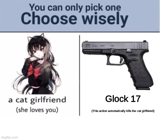 I'd pick Glock. I don't need or want a girlfriend. | Glock 17; (This action automatically kills the cat girlfriend) | image tagged in choose wisely,glock | made w/ Imgflip meme maker