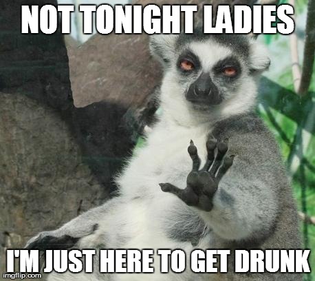 Stoner Lemur | NOT TONIGHT LADIES I'M JUST HERE TO GET DRUNK | image tagged in memes,stoner lemur | made w/ Imgflip meme maker