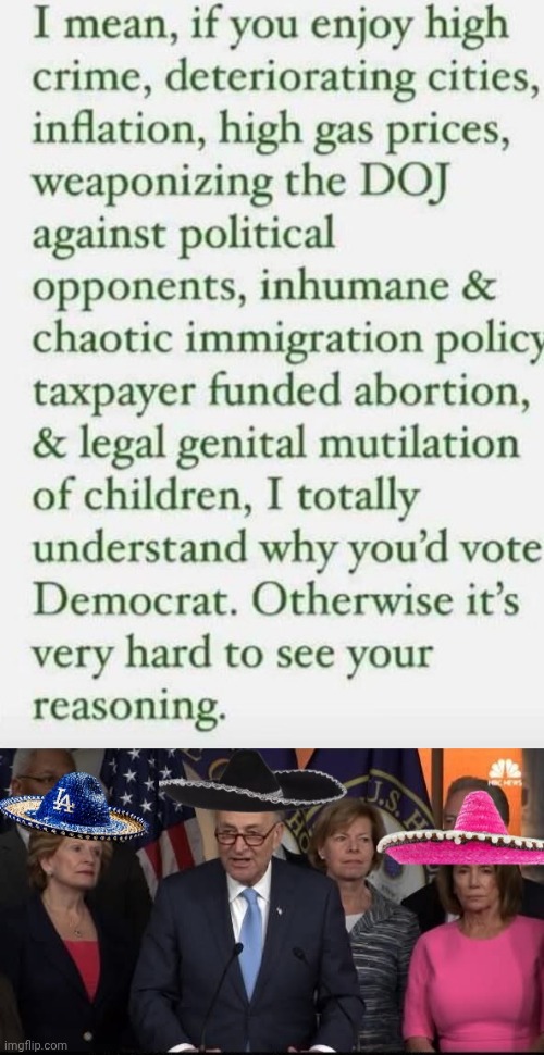 Vote Demorhhoid | image tagged in img 25 jpeg,democrats in sombreros 4 | made w/ Imgflip meme maker