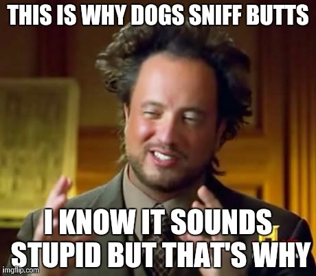 Ancient Aliens Meme | THIS IS WHY DOGS SNIFF BUTTS I KNOW IT SOUNDS STUPID BUT THAT'S WHY | image tagged in memes,ancient aliens | made w/ Imgflip meme maker
