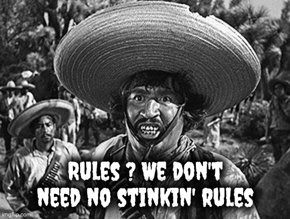 Rules ? We don't need no stinkin' rules | image tagged in mexican | made w/ Imgflip meme maker