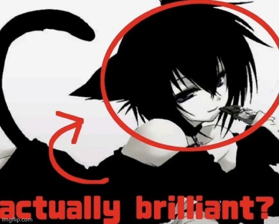 Actually brilliant | image tagged in actually brilliant | made w/ Imgflip meme maker