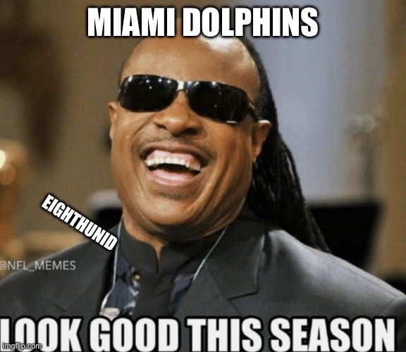 funny | Miami Dolphins; Eighthunid | image tagged in funny | made w/ Imgflip meme maker