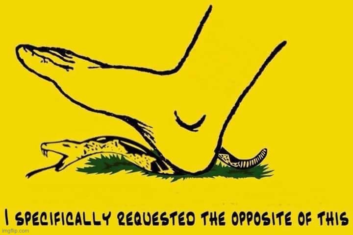 I specifically requested the opposite of this | image tagged in i specifically requested the opposite of this | made w/ Imgflip meme maker