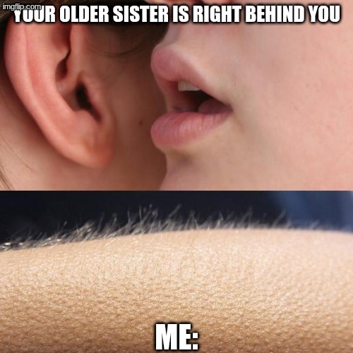 Oh no | Your older sister is right behind you; Me: | image tagged in whisper and goosebumps,sisters,growing up with siblings,oh no | made w/ Imgflip meme maker