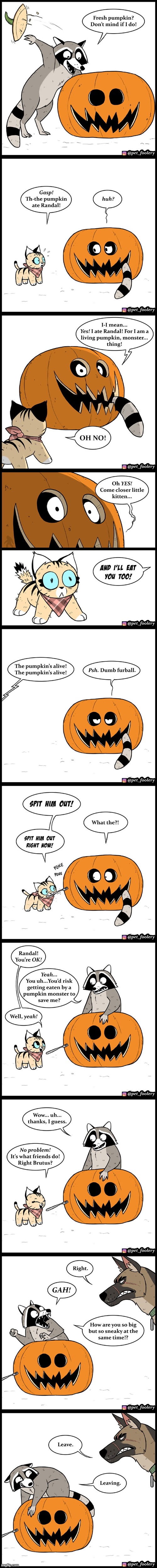 image tagged in racoon,jack-o-lantern,prank,cat,dog,oof | made w/ Imgflip meme maker