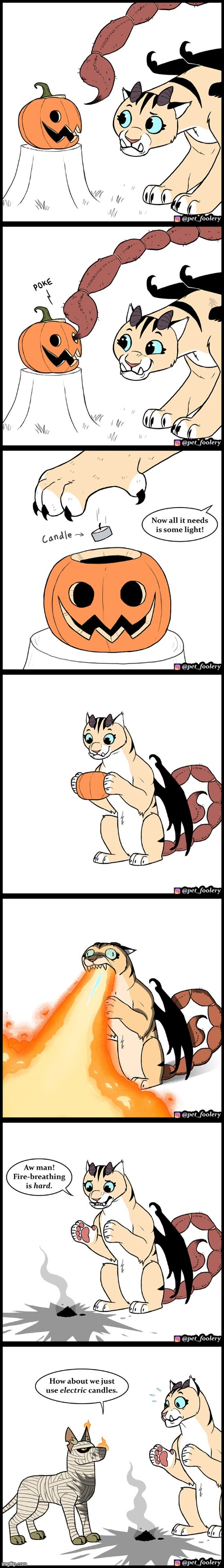 image tagged in cat,pumpkin,jack-o-lantern,dog,fire,ouch | made w/ Imgflip meme maker