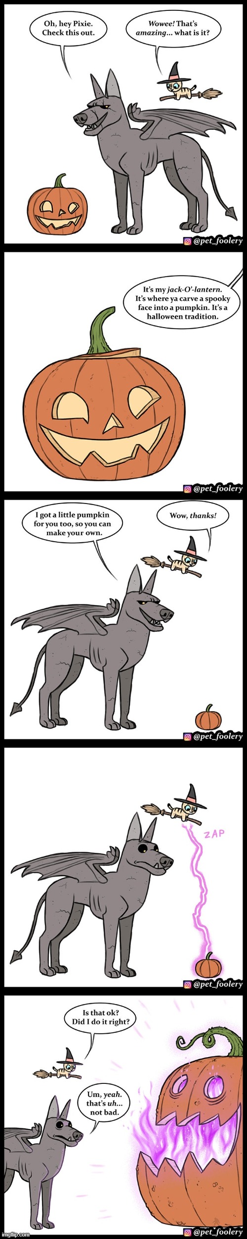 image tagged in dog,cat,pumpkin,spell,jack-o-lantern,big | made w/ Imgflip meme maker