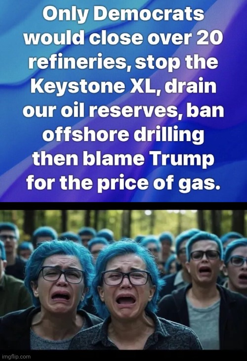 Wokesters crying over the mess they made | image tagged in img 3 png,blue haired wokesters,bidenomics mess,gas prices | made w/ Imgflip meme maker