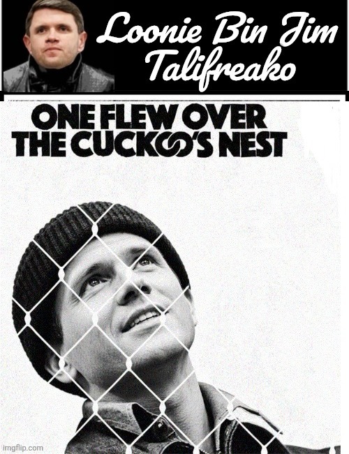 One flew over the Cuckoo's nest | image tagged in loonie bin jim talifreako header,b3lkto jpg,cuckoos nest | made w/ Imgflip meme maker