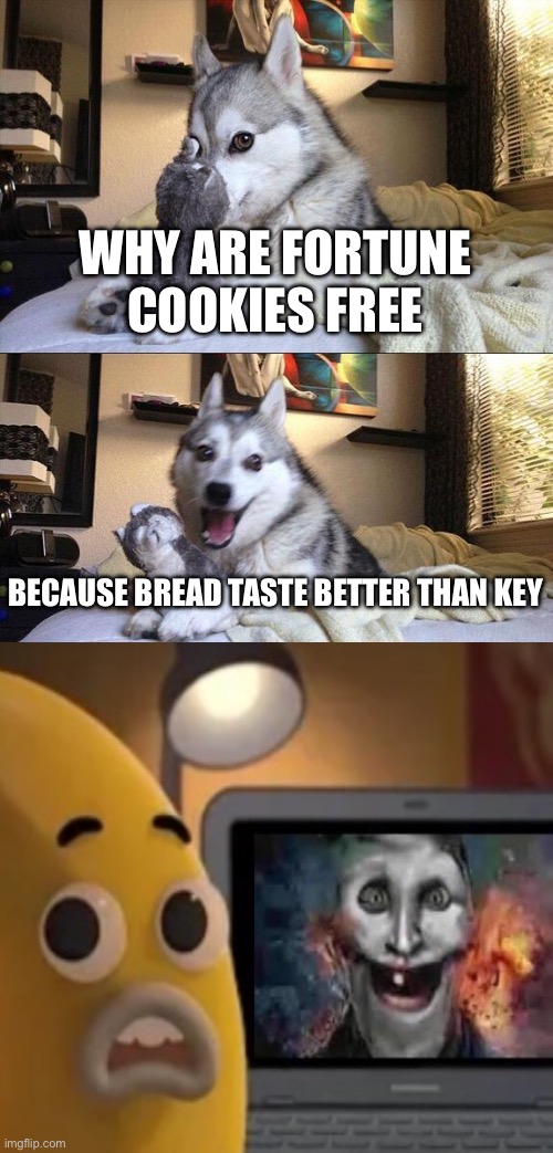 Bad Pun Dog Meme | Why are fortune cookies free; because bread taste better than key | image tagged in memes,bad pun dog,remix | made w/ Imgflip meme maker
