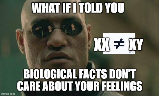 Biological Reality > Woke Biology | what if I told you; XX; XY; biological facts don't care about your feelings | image tagged in memes,matrix morpheus,xx,xy,transgender | made w/ Imgflip meme maker