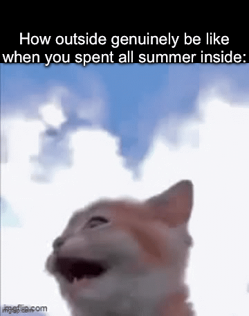 Outside Feels Huge After Summer Indoors