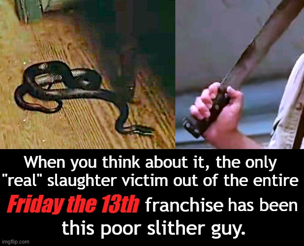 Monday-Mourning Quarterback | When you think about it, the only "real" slaughter victim out of the entire; has been; Friday the 13th; franchise; this poor slither guy. | image tagged in friday the 13th,poor,snake,machete,death,scene | made w/ Imgflip meme maker