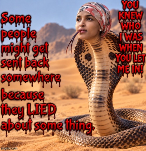 You knew who I was when you let me in!! | image tagged in let me in,warning snake | made w/ Imgflip meme maker