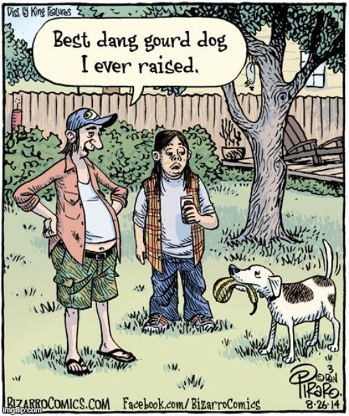 Gourds: flowering plant in family Cucurbitaceae, Cucurbita, Lagenaria | image tagged in vince vance,dogs,guard dog,gourds,cartoon,go fetch | made w/ Imgflip meme maker