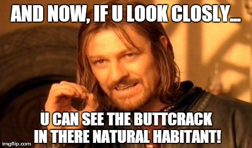 One Does Not Simply Meme | AND NOW, IF U LOOK CLOSLY... U CAN SEE THE BUTTCRACK IN THERE NATURAL HABITANT! | image tagged in memes,one does not simply | made w/ Imgflip meme maker