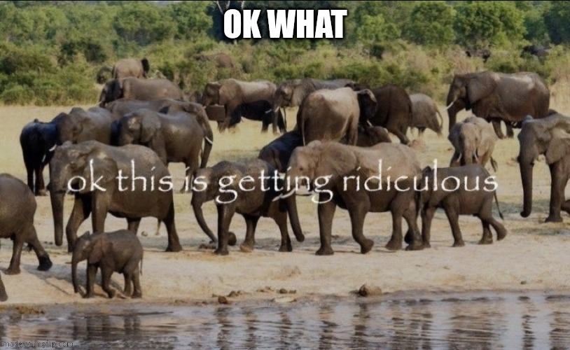 ok this is getting ridiculous | Ok what | image tagged in ok this is getting ridiculous | made w/ Imgflip meme maker