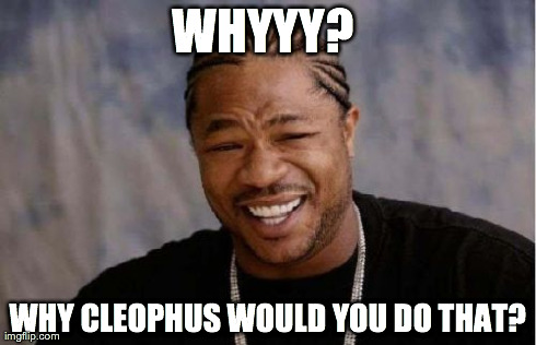 Yo Dawg Heard You | WHYYY?  WHY CLEOPHUS WOULD YOU DO THAT? | image tagged in memes,yo dawg heard you | made w/ Imgflip meme maker