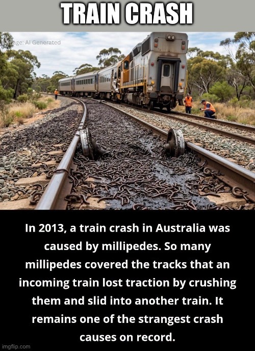 Train Crash | Train Crash | image tagged in img_6380 jpeg,train,crash,millipede | made w/ Imgflip meme maker