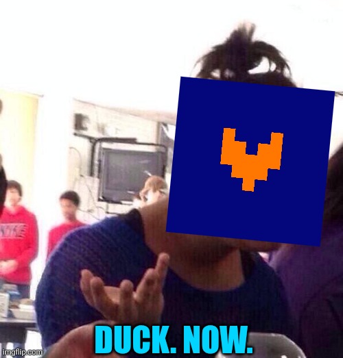 Black Girl Wat Meme | Duck. Now. | image tagged in memes,black girl wat | made w/ Imgflip meme maker