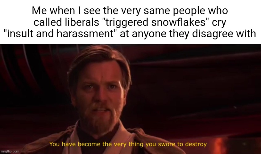 Me when I see the very same people who called liberals "triggered snowflakes" cry "insult and harassment" at anyone they disagree with | image tagged in you have become the very thing you swore to destroy | made w/ Imgflip meme maker