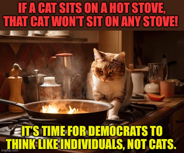 Are Democrats allowed to think independently? | If a cat sits on a hot stove, that cat won’t sit on any stove! It’s time for democrats to think like individuals, not cats. | image tagged in gifs,democrats,socialists,democratic socialism,propaganda | made w/ Imgflip meme maker