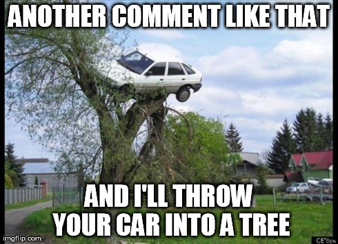 Secure Parking | ANOTHER COMMENT LIKE THAT AND I'LL THROW YOUR CAR INTO A TREE | image tagged in memes,secure parking | made w/ Imgflip meme maker
