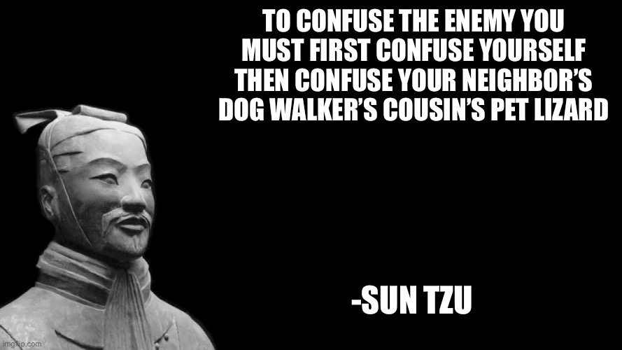 I don’t really know | To confuse the enemy you must first confuse yourself then confuse your neighbor’s dog walker’s cousin’s pet lizard; -sun tzu | image tagged in sun tzu | made w/ Imgflip meme maker