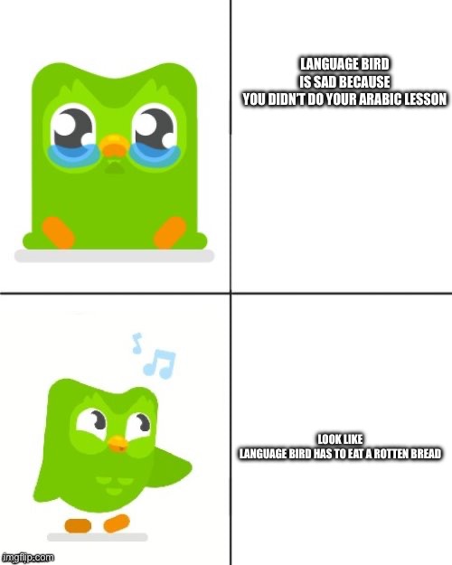 Duolingo Drake meme | Language bird is sad because you didn’t do your Arabic lesson; Look like language bird has to eat a rotten bread | image tagged in duolingo drake meme | made w/ Imgflip meme maker