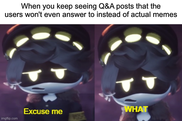 Ask me anything in the comments, and I'll answer with "I'm still not doing a Q&A"! | When you keep seeing Q&A posts that the users won't even answer to instead of actual memes | image tagged in excuse me what n edition,question,answer,sucks,i want the real,memes | made w/ Imgflip meme maker