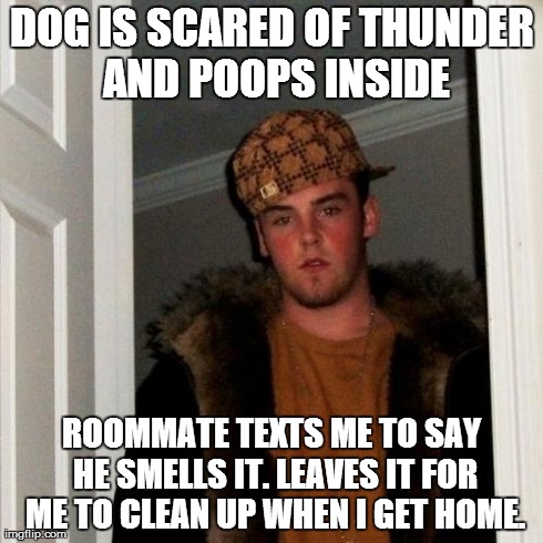 Scumbag Steve Meme | DOG IS SCARED OF THUNDER AND POOPS INSIDE ROOMMATE TEXTS ME TO SAY HE SMELLS IT. LEAVES IT FOR ME TO CLEAN UP WHEN I GET HOME. | image tagged in memes,scumbag steve | made w/ Imgflip meme maker