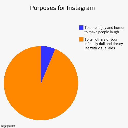 image tagged in funny,pie charts | made w/ Imgflip chart maker