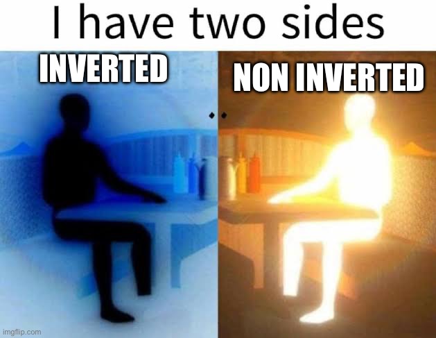 idk | inverted; non inverted | image tagged in i have two sides | made w/ Imgflip meme maker