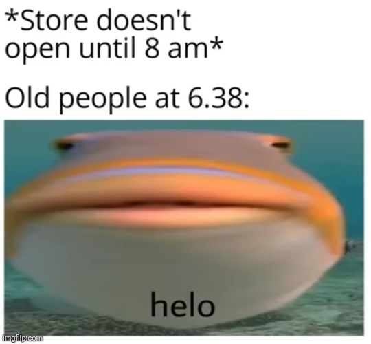 Posting 500 memes in one day #97 | image tagged in stores | made w/ Imgflip meme maker