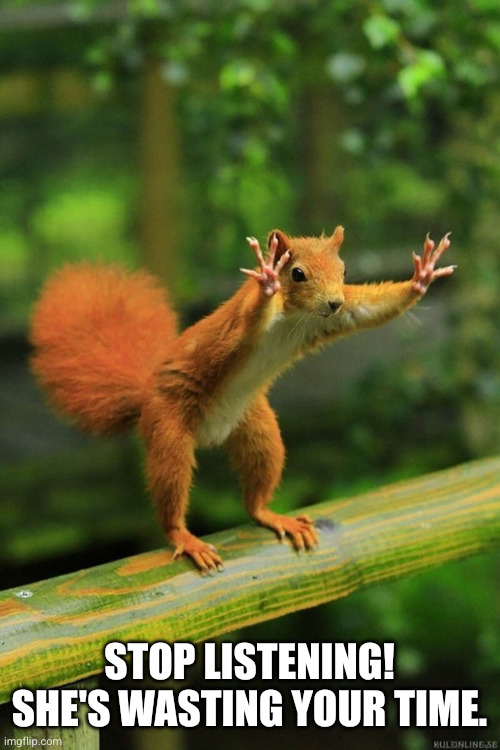 Wait a Minute Squirrel | Stop listening!
She's wasting your time. | image tagged in wait a minute squirrel | made w/ Imgflip meme maker