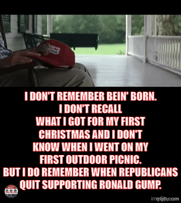 Remember what I told you, Forrest - Imgflip