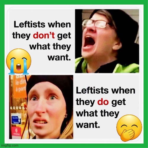 Lefties when they don't get what they want | image tagged in lefties when they get what they want,same result | made w/ Imgflip meme maker