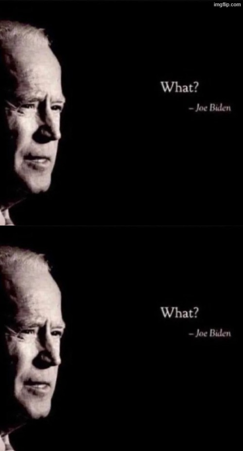 image tagged in joe biden what | made w/ Imgflip meme maker