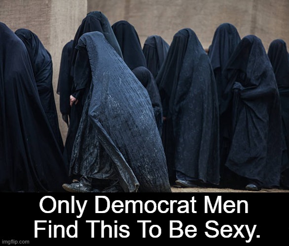 The Truth Is... | Only Democrat Men 
Find This To Be Sexy. | image tagged in liberals vs conservatives,men,democrats,liberals,soyboy vs yes chad,sexy image | made w/ Imgflip meme maker