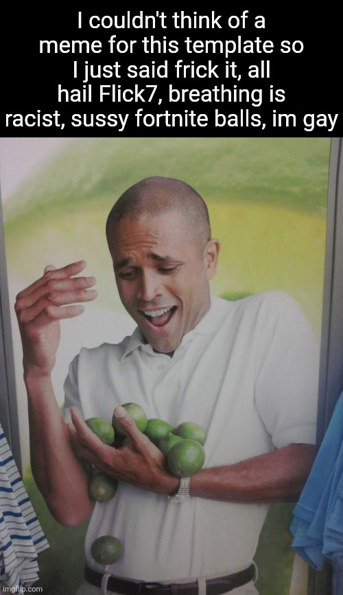 Why Can't I Hold All These Limes Meme | I couldn't think of a meme for this template so I just said frick it, all hail Flick7, breathing is racist, sussy fortnite balls, im gay | image tagged in memes,why can't i hold all these limes | made w/ Imgflip meme maker