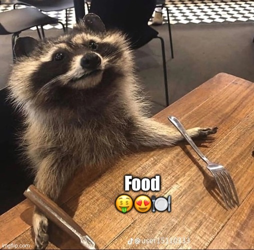 Raccoon Reportedly Gets Hungry Paired With Emojis | Food 🤑😍🍽️ | image tagged in hungry racoon,food,emojis | made w/ Imgflip meme maker