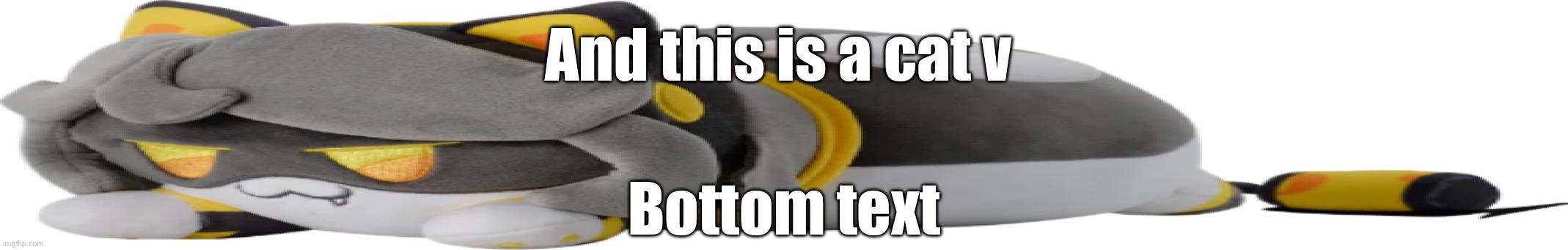 WIDE V Cat | And this is a cat v Bottom text | image tagged in wide v cat | made w/ Imgflip meme maker