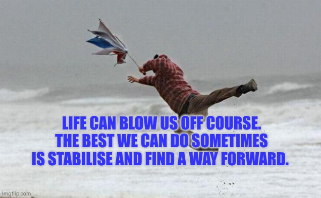 Life can blow us off course. The best we can sometimes is stabilise and find a way forward. | Life can blow us off course. The best we can do sometimes is stabilise and find a way forward. | image tagged in windy,autism,life,progress,plans,menopause | made w/ Imgflip meme maker