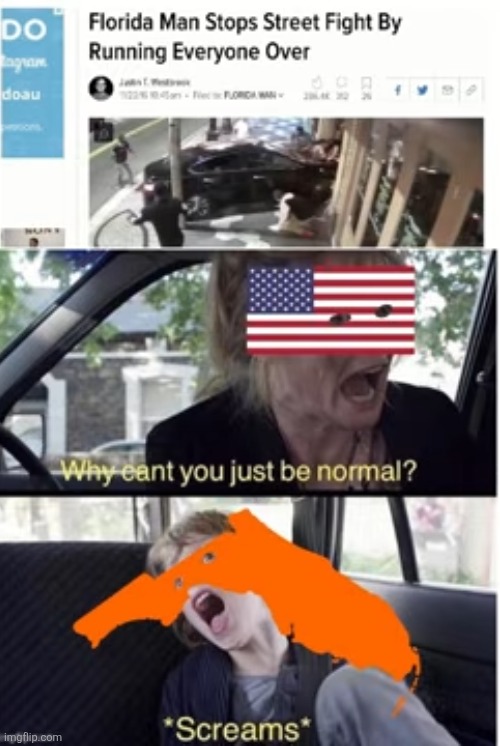 Posting 500 memes in two days #238 | image tagged in florida | made w/ Imgflip meme maker