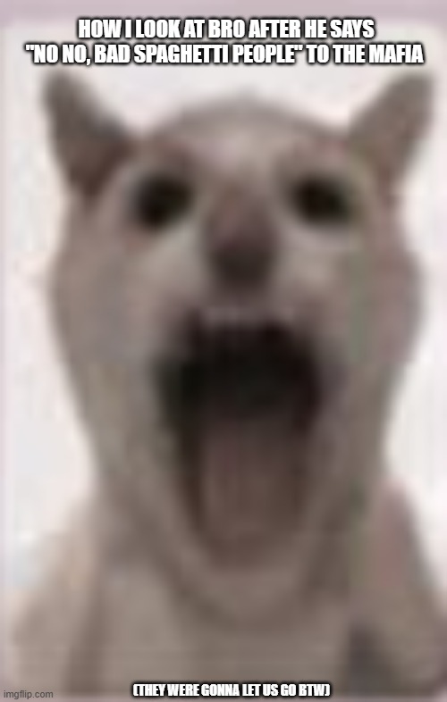 son?✌️ | how i look at bro after he says "no no, bad spaghetti people" to the mafia; (they were gonna let us go btw) | image tagged in cursed cat | made w/ Imgflip meme maker