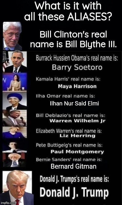 Aliases and fake names of Demorhhoids | image tagged in aliases and fake names of demorhhoids | made w/ Imgflip meme maker