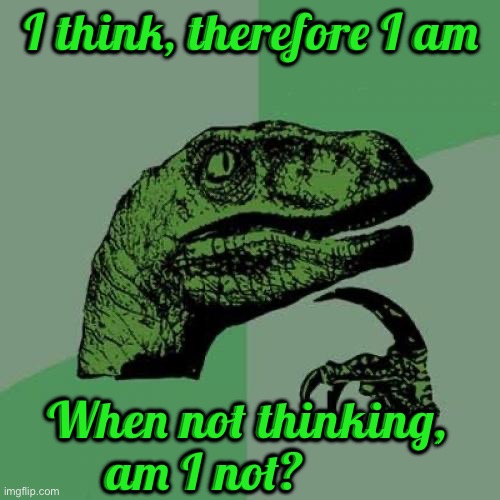 Philosoraptor Meme | I think, therefore I am; When not thinking, am I not? | image tagged in memes,philosoraptor | made w/ Imgflip meme maker